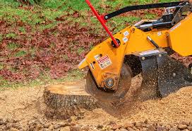 Professional Tree Services in Stanton, CA
